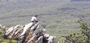 U len chvu bud otvoren brny na plynul prechod