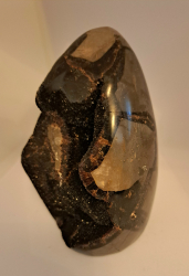 Septria - Draie vajce