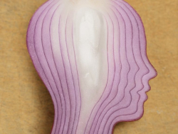 Akick zznamy  prepojenie s vlastnou podstatou due, Koice 23.9.-24.9.2023